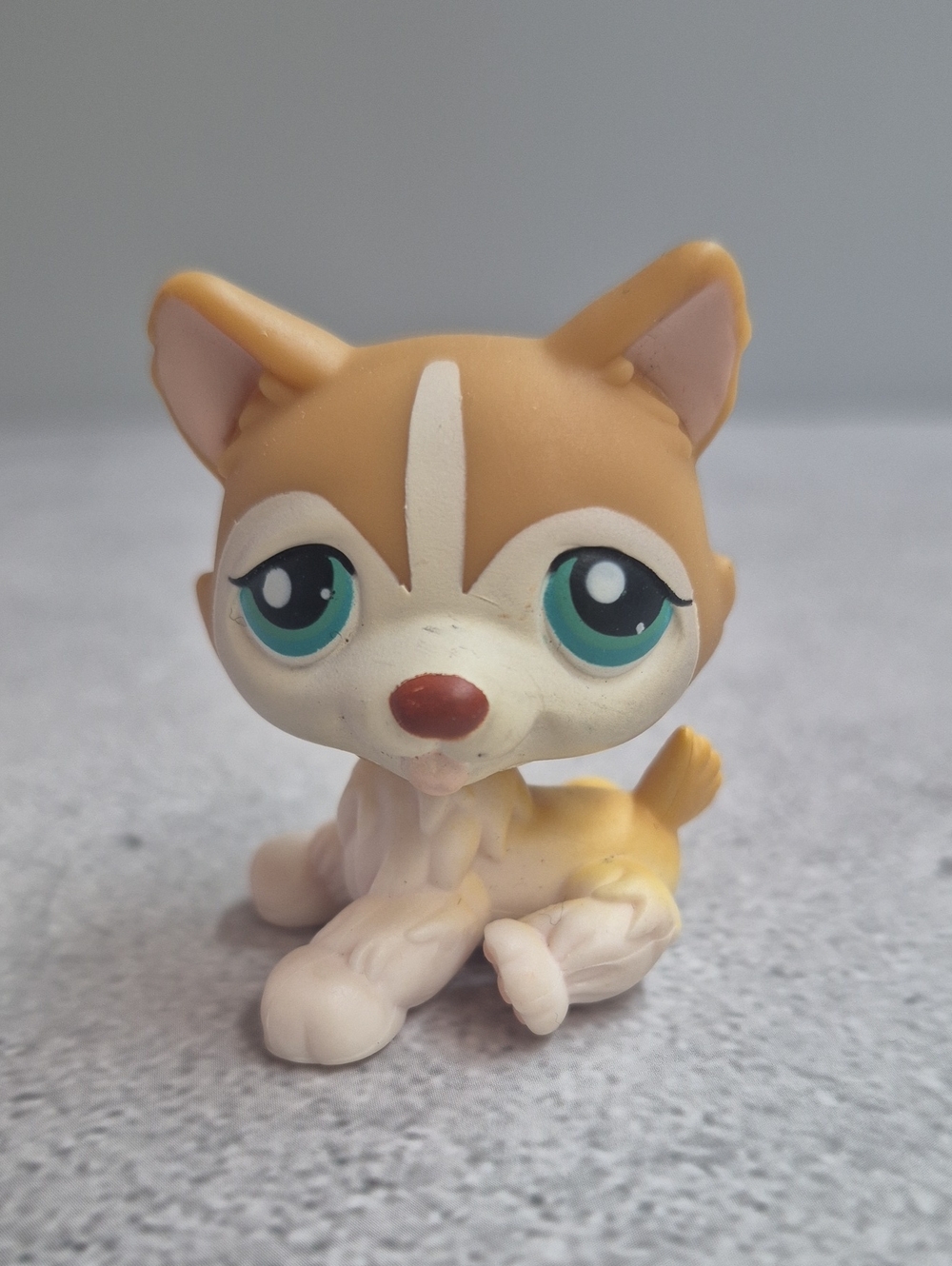 Littlest Pet Shop Husky #386
